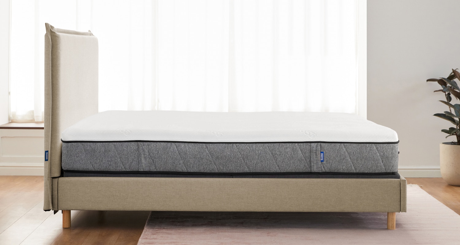 alta adjustable oyster shell 4