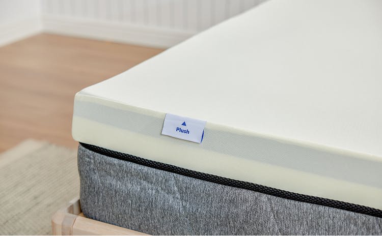 ecosa haven bundle 5