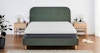 cove bed frame 1 evergreen