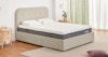 cove storage bed frame oyster shell 3