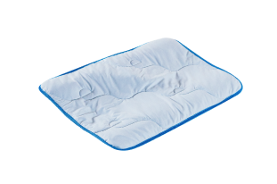 Cooling Pillow Overlay