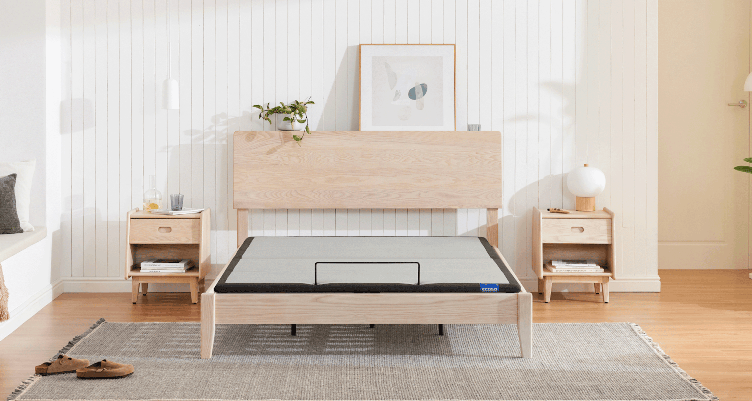 rise adjustable ash 1