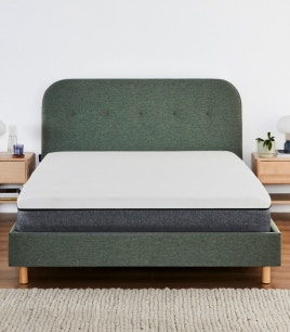 cove bed frame evergreen