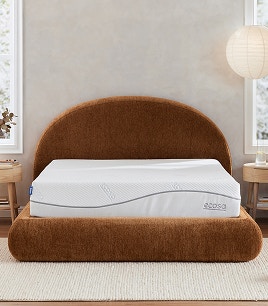 nuve cloud bed frame terracotta