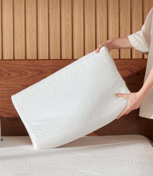 Ecosa Pillow